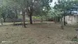 2 Hectares Land for Sale, Bunju B - 2