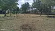 2 Hectares Land for Sale, Bunju B - 3
