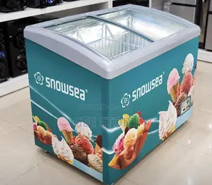 Snowsea Freezer ya Kuonesha 300 Litre