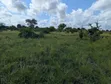 1 Acre Plot for Sale in Makurunge - 2