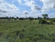 1 Acre Plot for Sale in Makurunge - 3