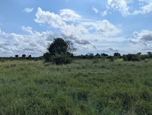 1 Acre Plot for Sale in Makurunge