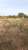 Plot for Sale Usagara Mwanza - 4