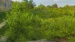 Land Plot for Sale in Nungwi, Zanzibar - 1