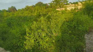 Land Plot for Sale in Nungwi, Zanzibar
