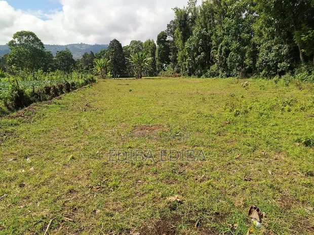 15 Acres Titled Commercial Land for Sale, Arusha-Moshi Road - 1