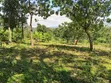 15 Acres Titled Commercial Land for Sale, Arusha-Moshi Road - 2