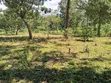 15 Acres Titled Commercial Land for Sale, Arusha-Moshi Road - 3