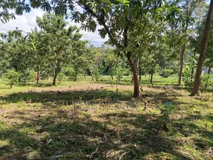 15 Acres Titled Commercial Land for Sale, Arusha-Moshi Road