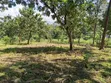 15 Acres Titled Commercial Land for Sale, Arusha-Moshi Road - 5