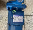 Pedrollo CP158 1HP Electric Centrifugal Surface Pump (Italy) - 1