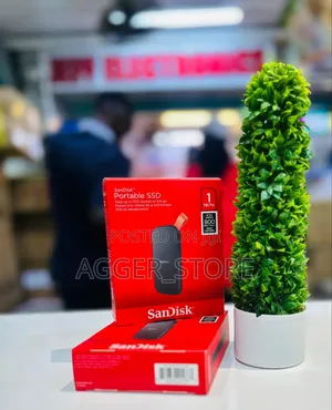 SanDisk Portable SSD 1TB