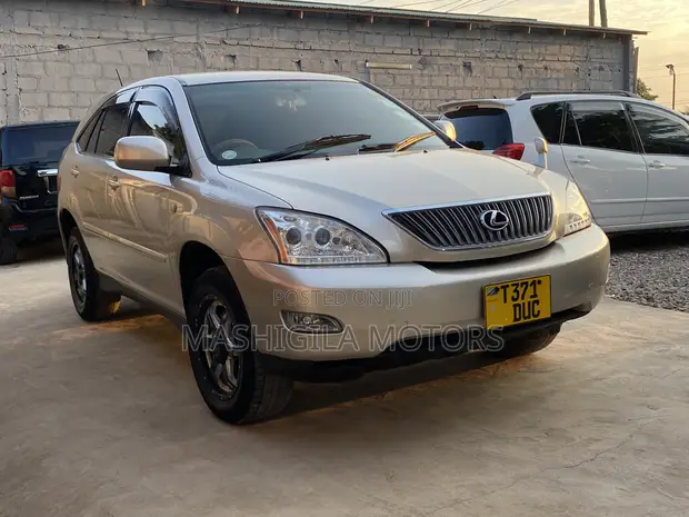 Toyota Harrier 2004 Gold - 1