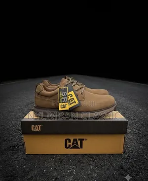 Caterpillar Field Leather Shoes