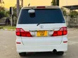 Toyota Alphard 2006 White - 2