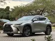 Lexus NX 350h F-Sport 2022 Silver - 2