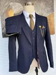 Premium Navy Blue Textured 3-Piece Suit - 2