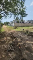 Land for Sale - Wazo Contena, Madale - 4