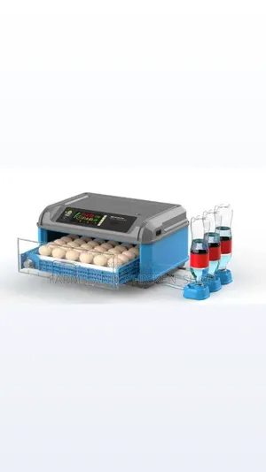 Egg Incubator 40 Capacity