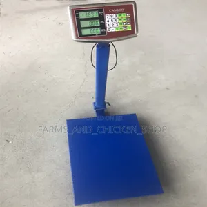 Camry Digital Weighing Scale (400kg)
