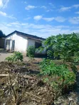Furnished 7-Bedroom House for Sale in Mombasa, Ilala - 4