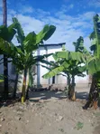 Furnished 7-Bedroom House for Sale in Mombasa, Ilala - 5