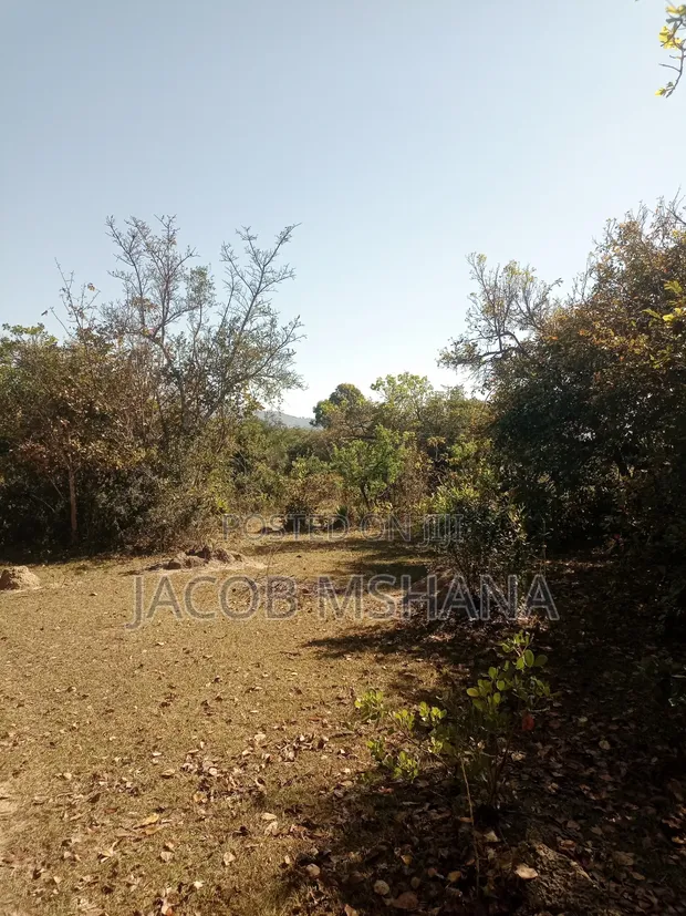 200 Acres Farmland for Sale, Iringa - 1