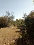 200 Acres Farmland for Sale, Iringa - 1