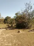 200 Acres Farmland for Sale, Iringa - 2