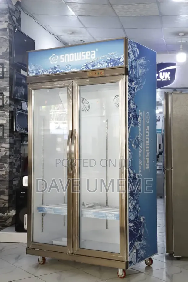Snow Sea Showcase Refrigerator SN700 700L - 1