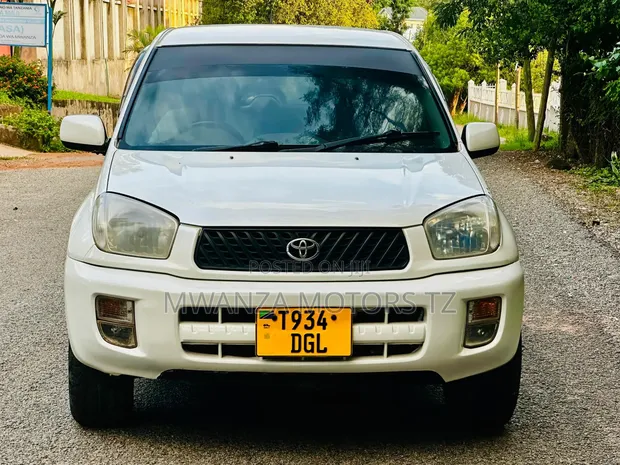 Toyota RAV4 2006 White - 1