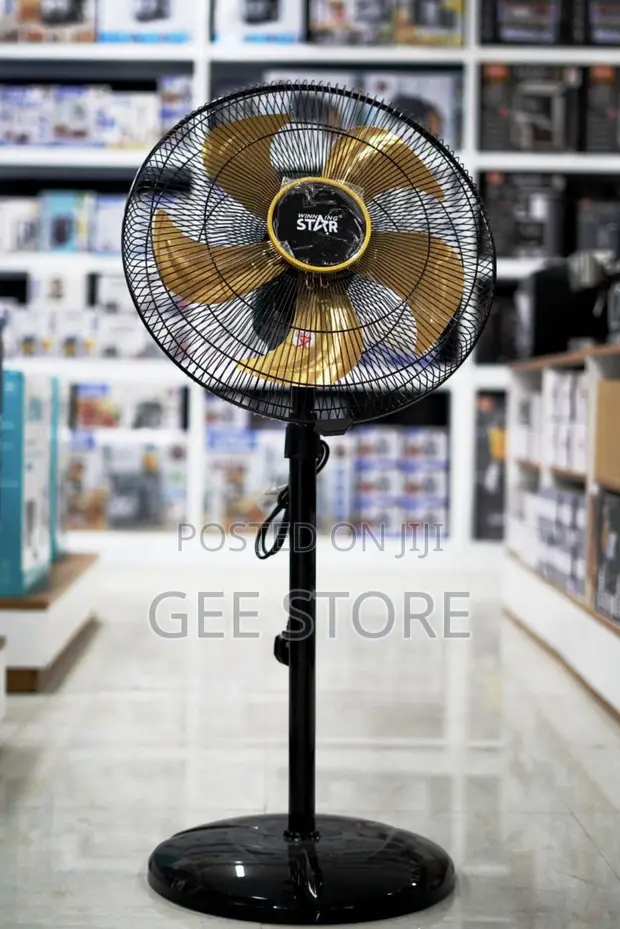 Winning Star Electric Floor Fan (Breez Modes) - 1