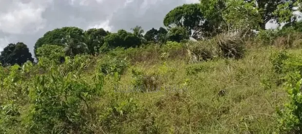 12 Acres Industrial Plot for Sale, Mkuranga - 1