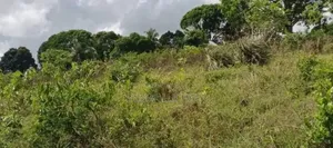 Eneo la Viwanda Ekari 12 Linauzwa Mkuranga