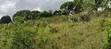 12 Acres Industrial Plot for Sale, Mkuranga - 1