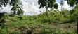 12 Acres Industrial Plot for Sale, Mkuranga - 3