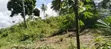 12 Acres Industrial Plot for Sale, Mkuranga - 4