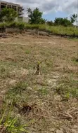 Land for Sale in Goba Kulangwa - 4