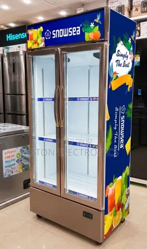 Snowsea Showcase Double Door 650L (SN683S)