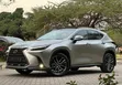 Lexus NX 350h F-Sport 2022 Silver - 5