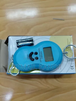 Digital Portable Crane Scale 50kg