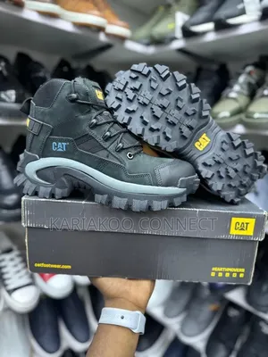New Cat Men's Shoes