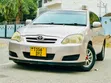 Toyota Corolla RunX 2006 Gold - 2
