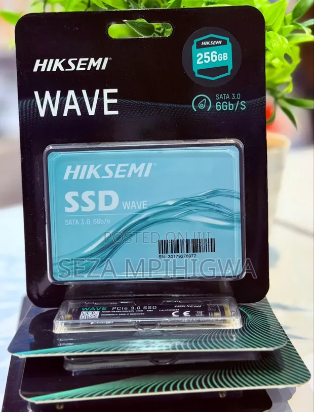 256GB SATA 3.0 SSD Storage (6Gb/s) - 1