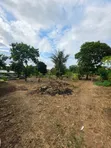 Land for Sale in Madale Mivumoni - 2