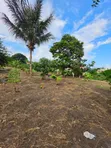Land for Sale in Madale Mivumoni - 3