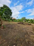 Land for Sale in Madale Mivumoni - 4