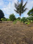 Land for Sale in Madale Mivumoni - 5