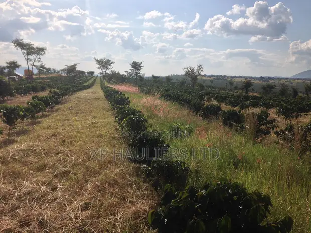 64 Acre Farm for Sale near Mbeya City - 1