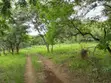 64 Acre Farm for Sale near Mbeya City - 2